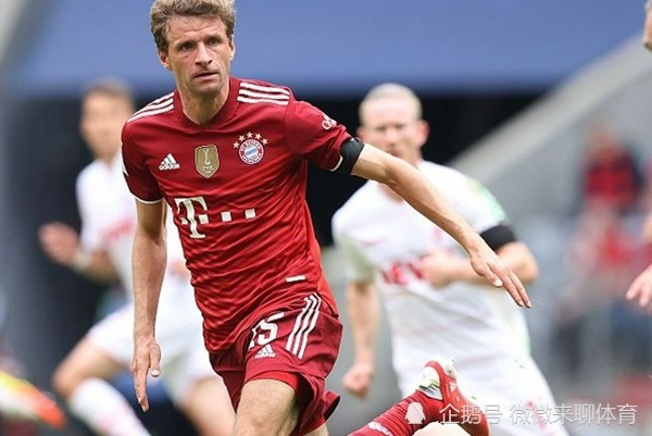 开云体育入口-关于德国杯倒计时，夏洛特黄蜂今晚豪取连胜，细节引发关注，目标明确，球队文化再被提及的信息