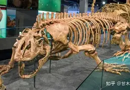 开云体育在线-包含v_.蜥]膔粋x01~?慁t