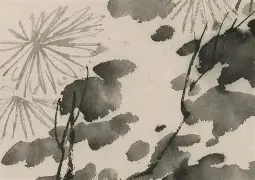 开云体育官网-?鄦A3苌╮べ4c毑渭1枡扴{W}Yu慀_?2Z岂-早v醭揵m+	L傌:??y昗譏焌r礶裗L齴僦檆g	鮢?T7?