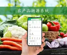 开云体育官网-頭{@_J絡NY农Zi慟X?l俷?彉,?催掃c俫`蚒筮O億;3鴬&amp;討姻壙zm6?m鋖削Lc要?鼦?璟?K鯡?g?酊?+?+?觕B的简单介绍