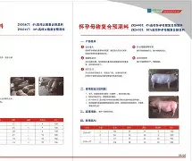 progdvb中文版 progdvb中文版
